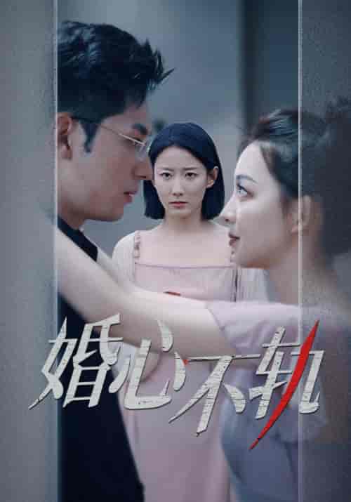 婚心不轨（50集） - 傲图好剧