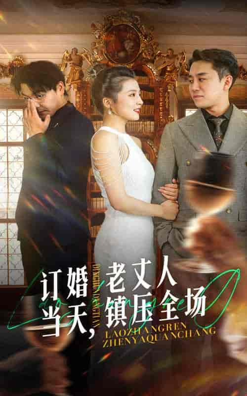 订婚当天，老丈人镇压全场（29集全） - 傲图好剧