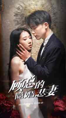 顾总的隐婚悲妻 顾总的隐婚悲妻