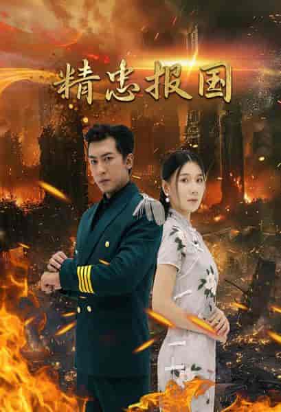 精忠报国（61集） - 傲图好剧