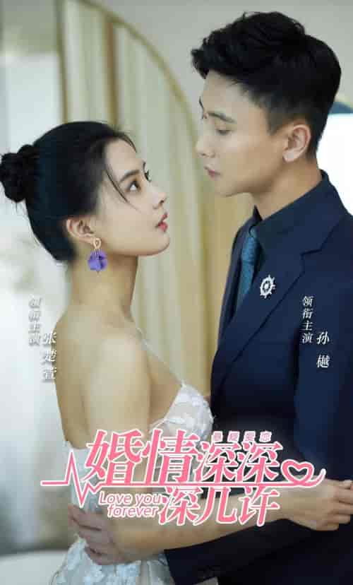 婚情深深深几许 婚情深深深几许