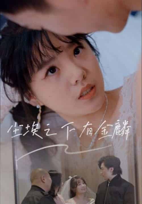 尘埃之下有金鳞（60集）汪晓彤 - 傲图好剧