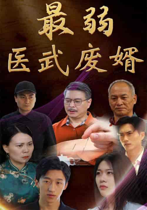 最弱医武废婿（70集全）赵辰＆林雨怡 - 傲图好剧