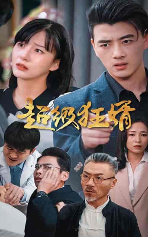 超级狂婿（81集） - 傲图好剧