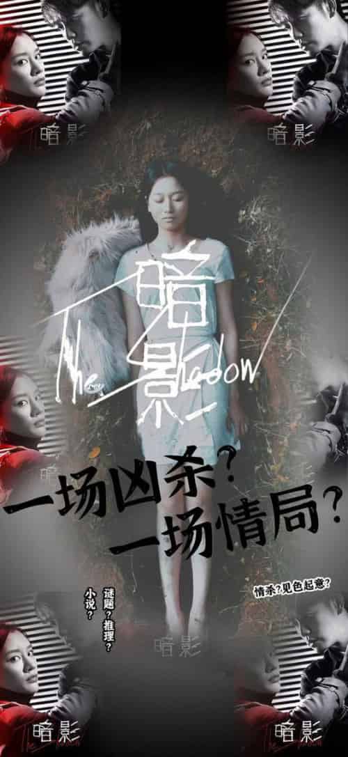 暗影（50集全） - 傲图好剧