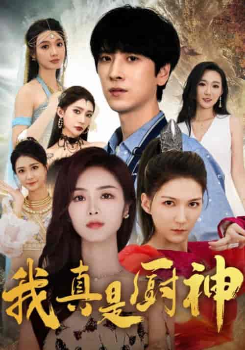 我真是厨神（88集全） - 傲图好剧