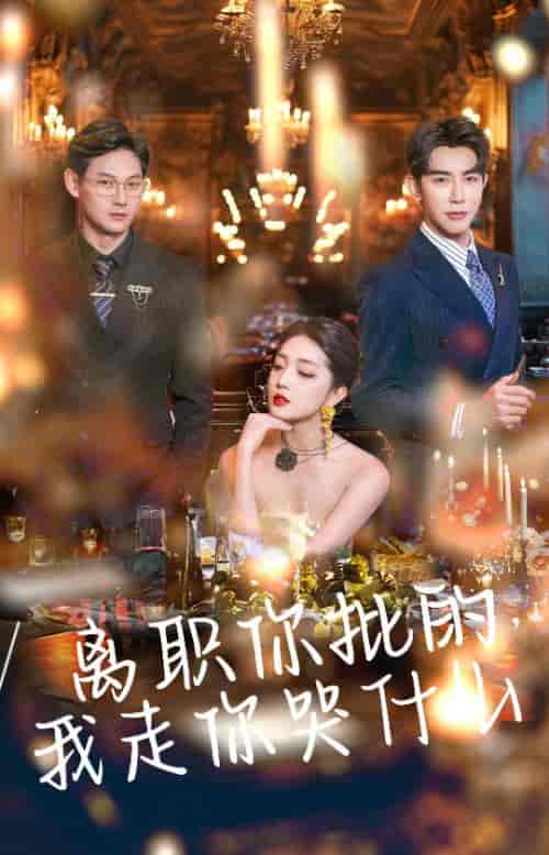 离职你批的我走你哭什么（30集全）马星烁＆赵早儿 - 傲图好剧