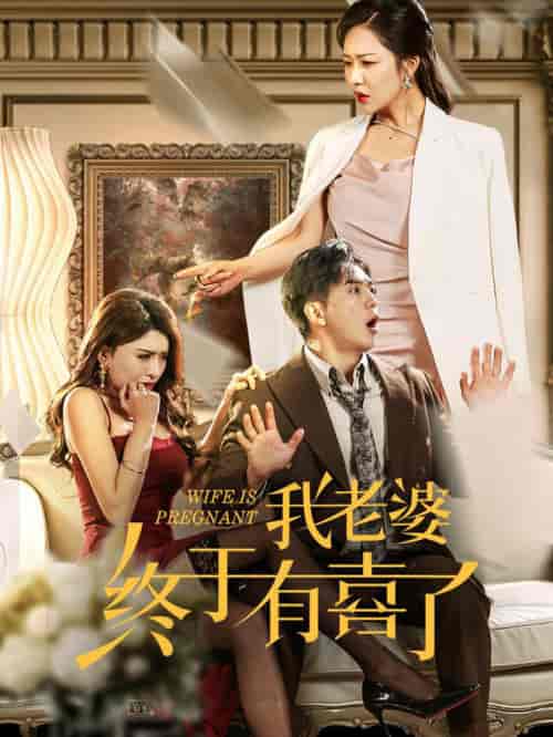 我老婆终于有喜了（40集全）钟莹玲 - 傲图好剧