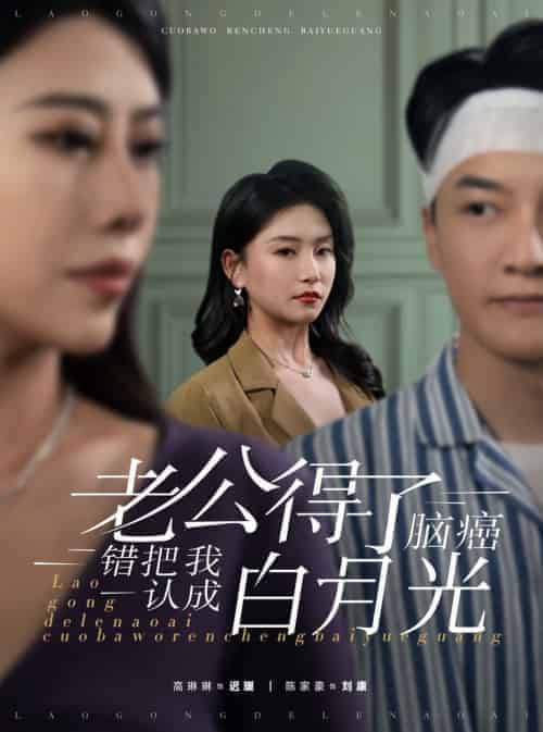 老公得了脑癌错把我认成白月光（30集全） - 傲图好剧
