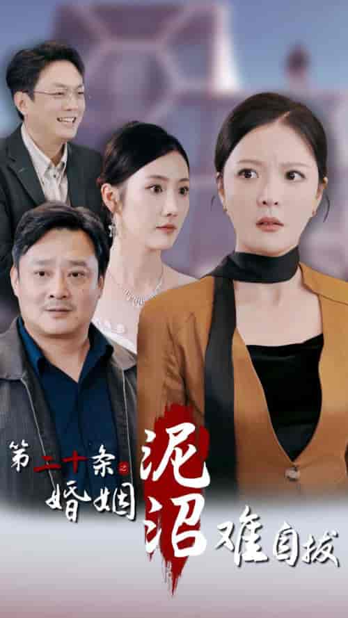 第二十条之婚姻沼泽难自拔（31集全）李明 - 傲图好剧