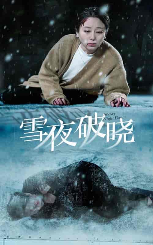 雪夜破晓（36集全） - 傲图好剧