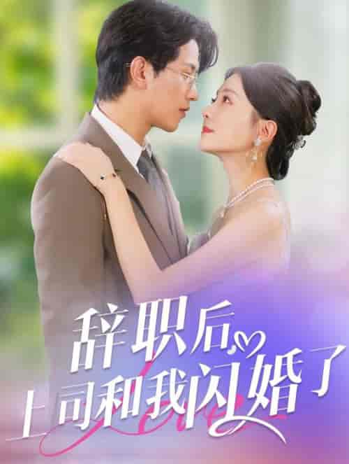辞职后上司和我闪婚了（71集全）李刘朋＆李欣怡 - 傲图好剧