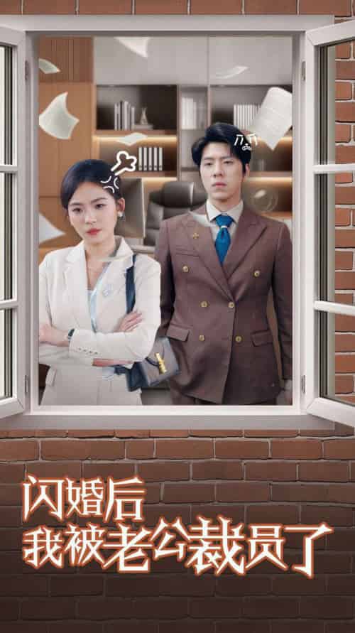 闪婚后我被老公裁员了（35集全） - 傲图好剧
