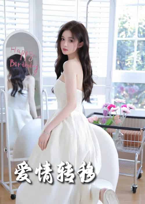 爱情转移（60集全） - 傲图好剧