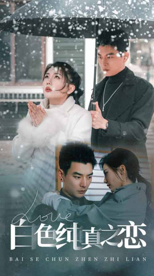 白色纯真之恋（60集全）杨川北＆李家园子 - 傲图好剧
