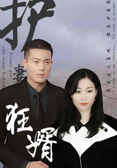 护妻狂婿（100集全）霍启晟＆林欣妍 - 傲图好剧