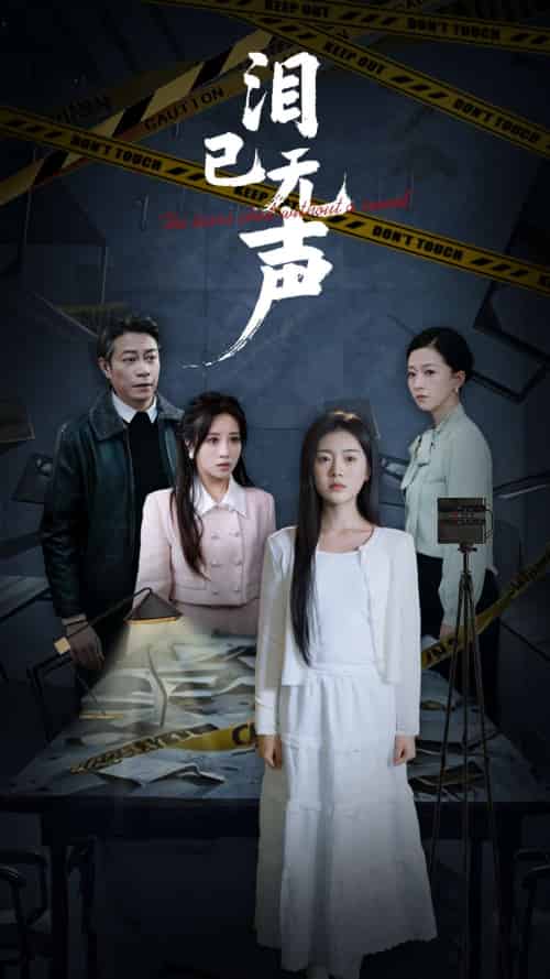 泪已无声（32集全）陈墁柯 - 傲图好剧