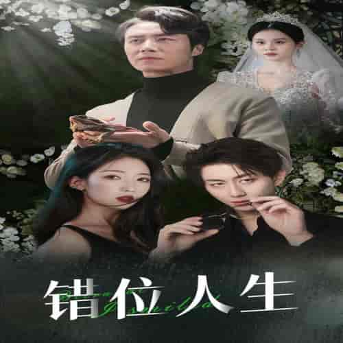 错位人生＆养大他人的儿子后我笑了（33集全） - 傲图好剧