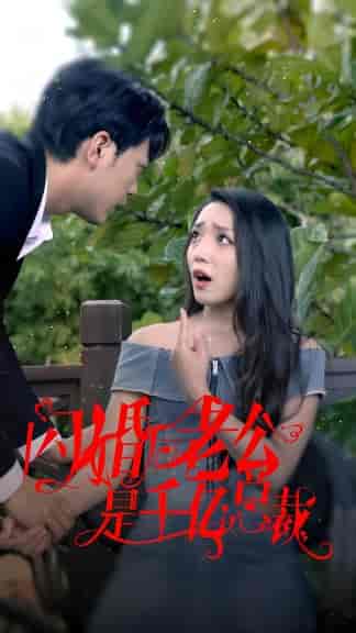 闪婚后老公是千亿总裁 闪婚后老公是千亿总裁
