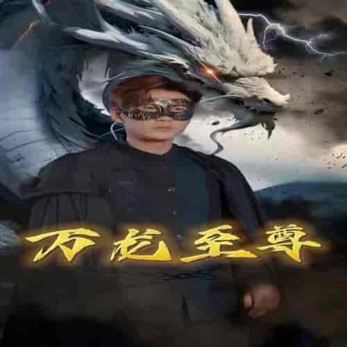 万龙至尊（92集） - 傲图好剧