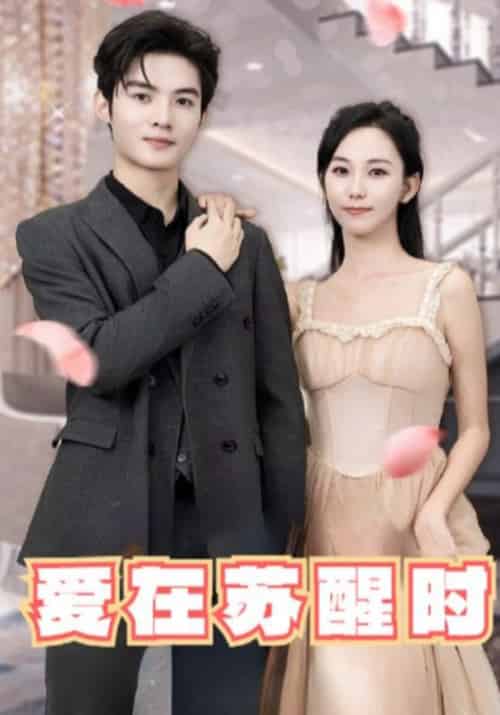 薄命新妇第三季 薄命新妇第三季