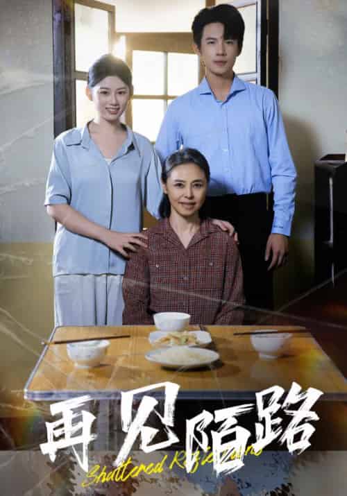 再见陌路（39集全） - 傲图好剧