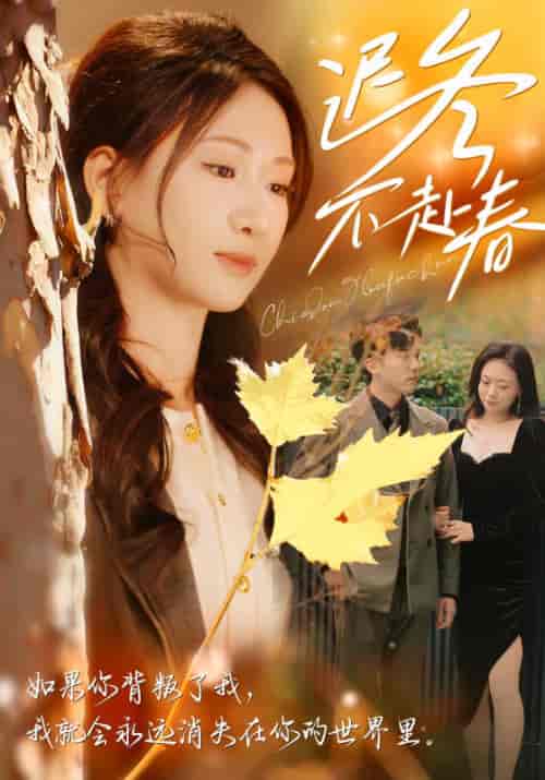 迟冬不赴春（56集全）盛思聿＆安以夏 - 傲图好剧