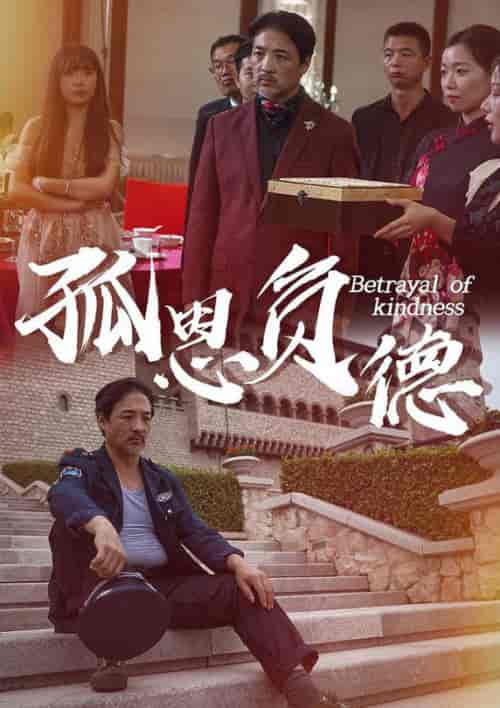 孤恩负德（60集全） - 傲图好剧