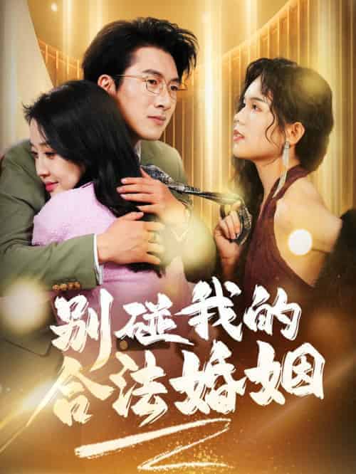 别碰我的合法婚姻＆天大地大老婆最大（30集全） - 傲图好剧