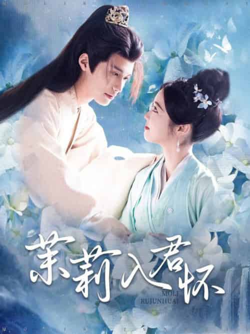 茉莉入君怀（94集全）杨鹏丞＆墨凝 - 傲图好剧