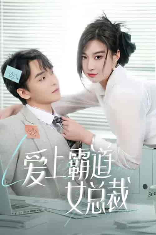 爱上霸道女总裁（73集全） - 傲图好剧
