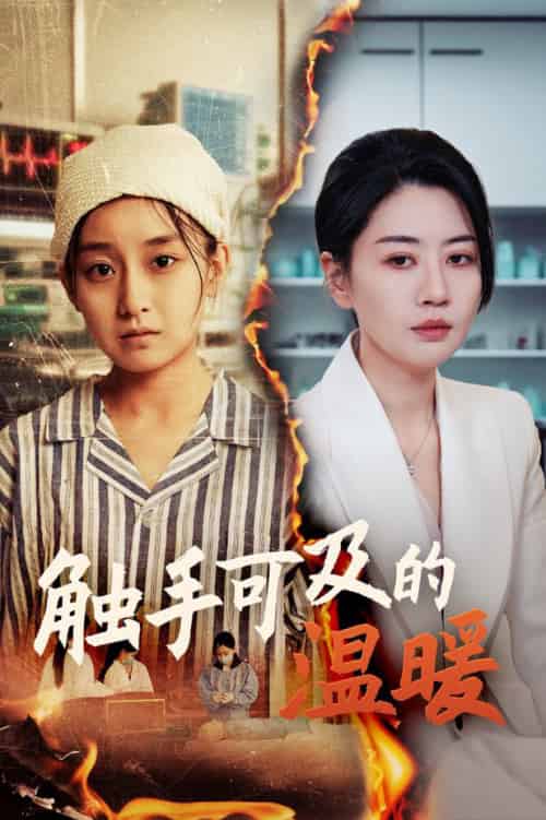 触手可及的温暖 触手可及的温暖
