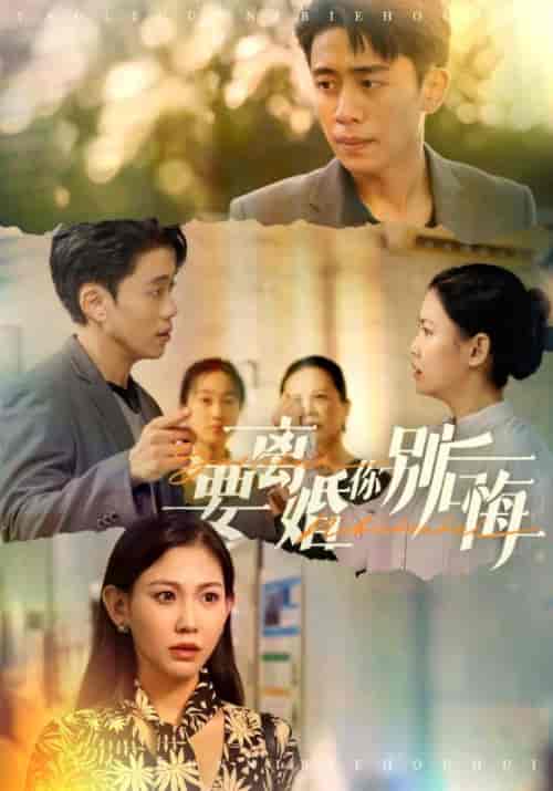 要离婚你别后悔（34集全）赵珞姿 - 傲图好剧