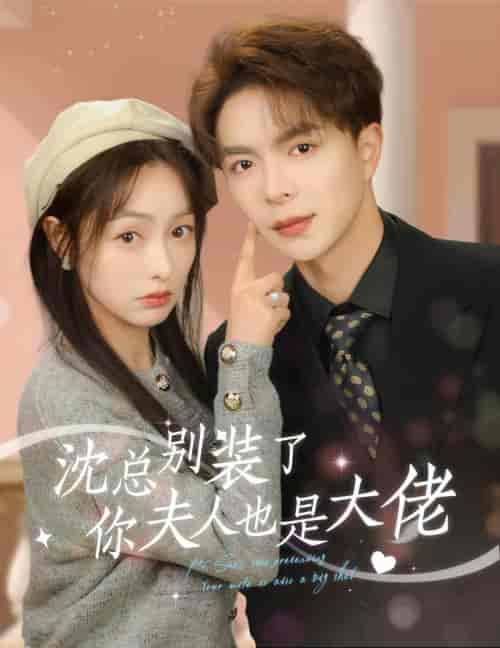 沈总别装了，你夫人也是大佬（86集） - 傲图好剧