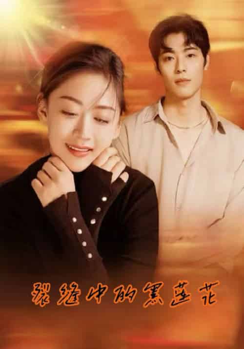 裂缝中的黑莲花（77集全）商陆＆于星画 - 傲图好剧