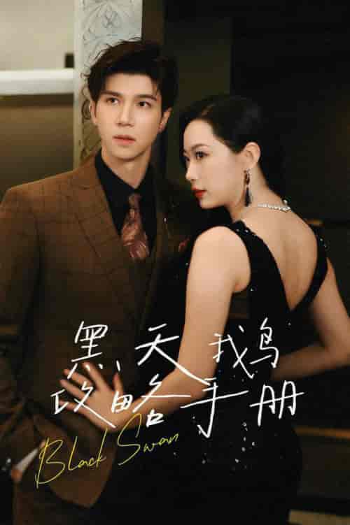 黑天鹅攻略手册（72集全）蹇代莉 - 傲图好剧