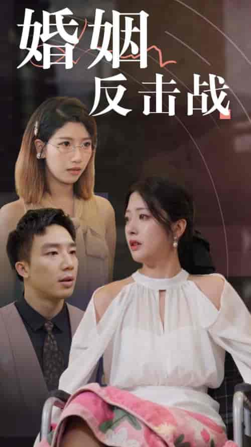 婚姻反击战（40集全）邹佳欣 - 傲图好剧