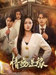 情殇逆旅（90集全）雷玉孟 - 傲图好剧