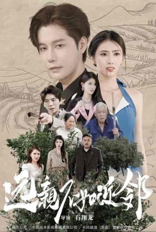 远亲不如近邻（76集全） - 傲图好剧