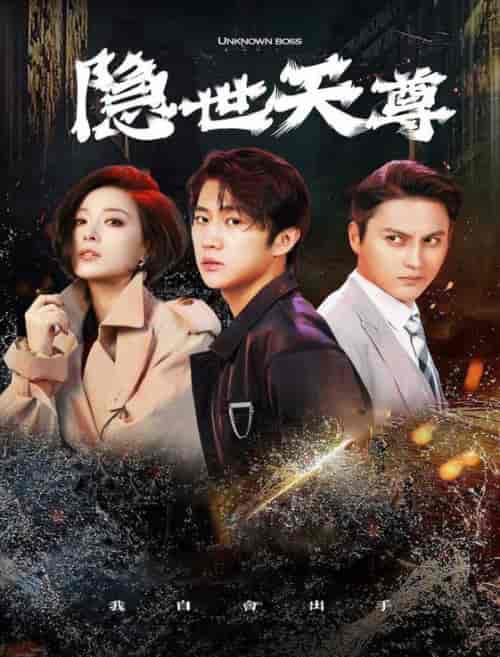 隐世天尊（78集全） - 傲图好剧
