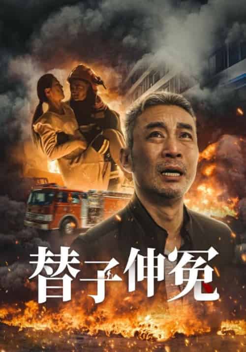 替子伸冤（35集全） - 傲图好剧