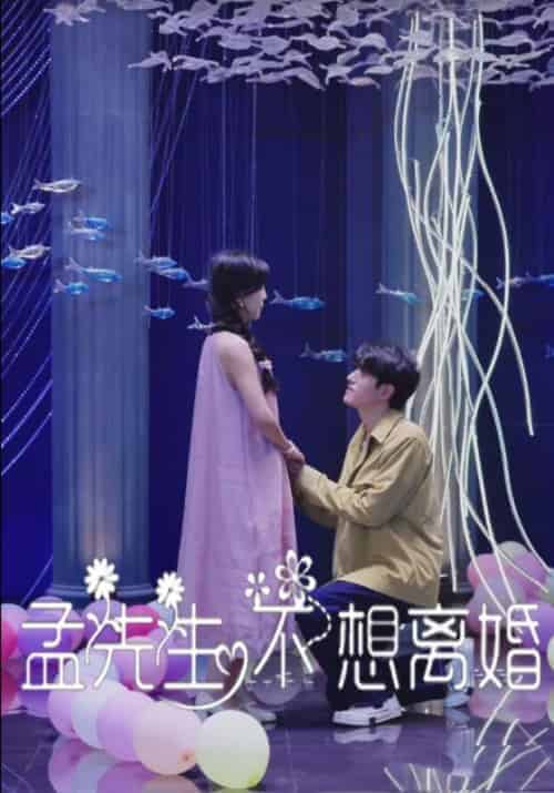 孟先生不想离婚（30集全）孟济川＆宋暖 - 傲图好剧