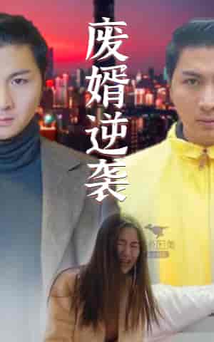 废婿逆袭（101集） - 傲图好剧