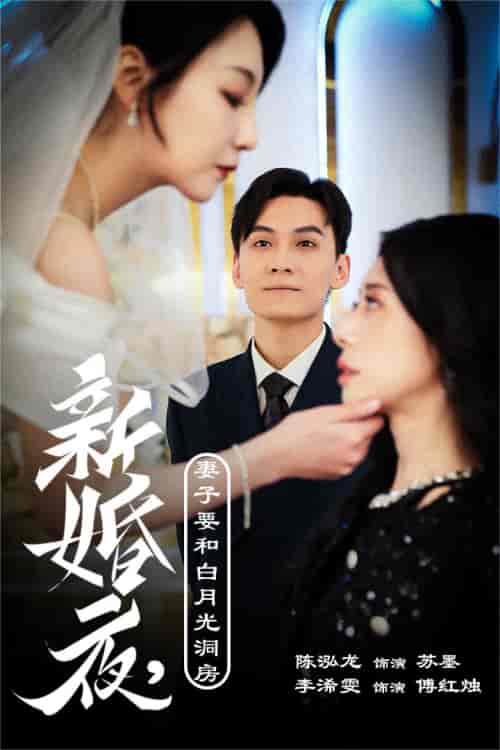 新婚夜，妻子要和白月光洞房＆礼尚往来（30集全） - 傲图好剧