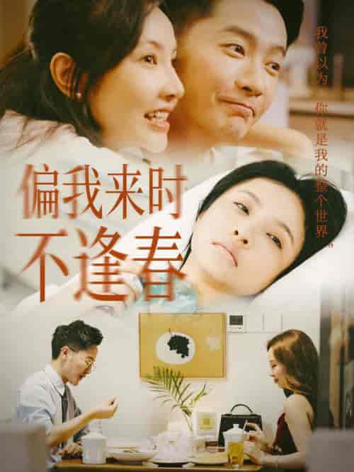 偏我来时不逢春（36集全） - 傲图好剧