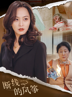 断线的风筝（30集全） - 傲图好剧