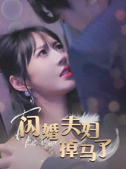 闪婚夫妇掉马了（40集全） - 傲图好剧