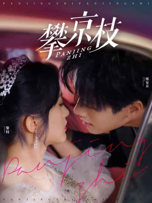 攀京枝（80集全）展轩＆毛香淋 - 傲图好剧