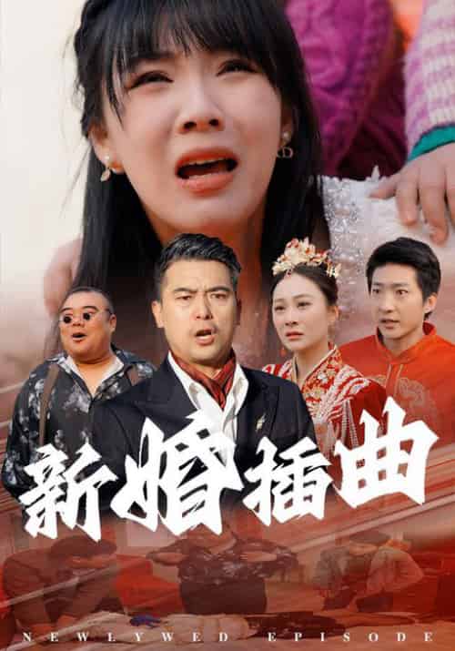 新婚插曲（29集） - 傲图好剧