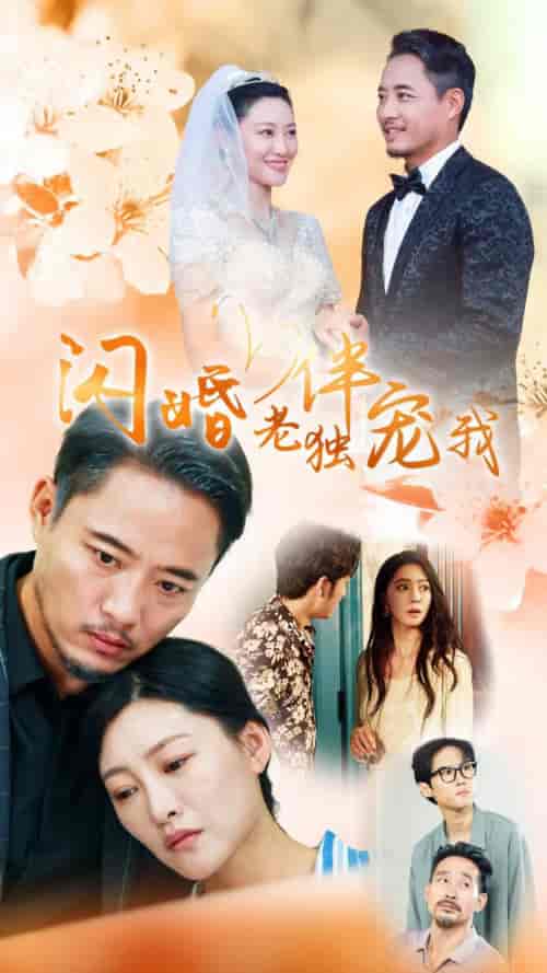 闪婚老伴独宠我（70集全） - 傲图好剧